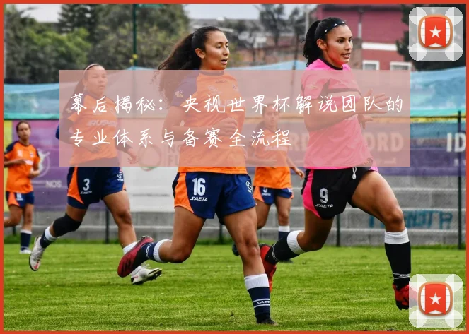幕后揭秘：央视世界杯解说团队的专业体系与备赛全流程