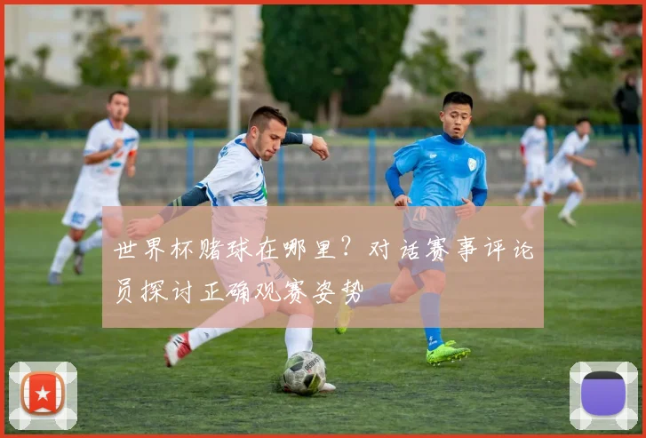 世界杯赌球在哪里?对话赛事评论员探讨正确观赛姿势