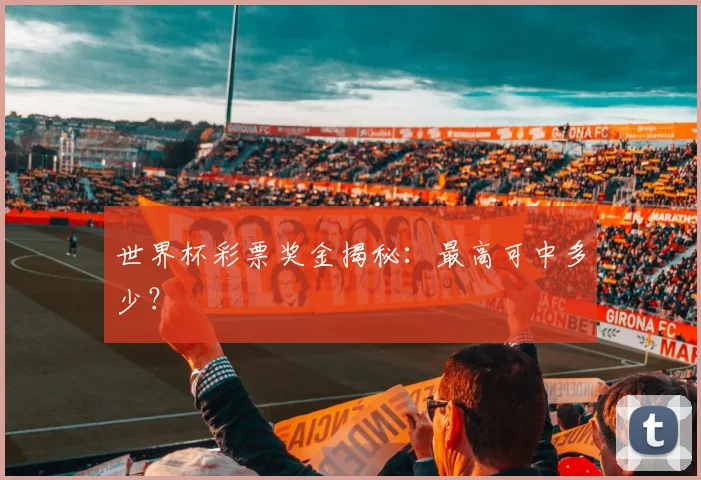 世界杯彩票奖金揭秘:最高可中多少?