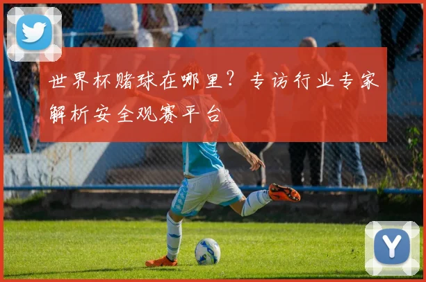 世界杯赌球在哪里？专访行业专家解析安全观赛平台