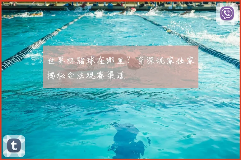 世界杯赌球在哪里？资深玩家独家揭秘合法观赛渠道