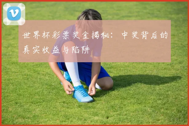 世界杯彩票奖金揭秘：中奖背后的真实收益与陷阱
