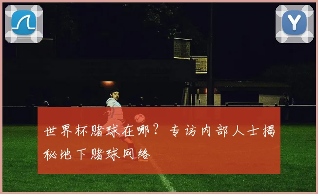 世界杯赌球在哪？专访内部人士揭秘地下赌球网络