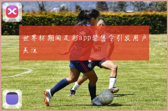 世界杯期间足彩app禁售令引发用户关注