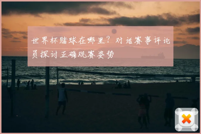 世界杯赌球在哪里?对话赛事评论员探讨正确观赛姿势
