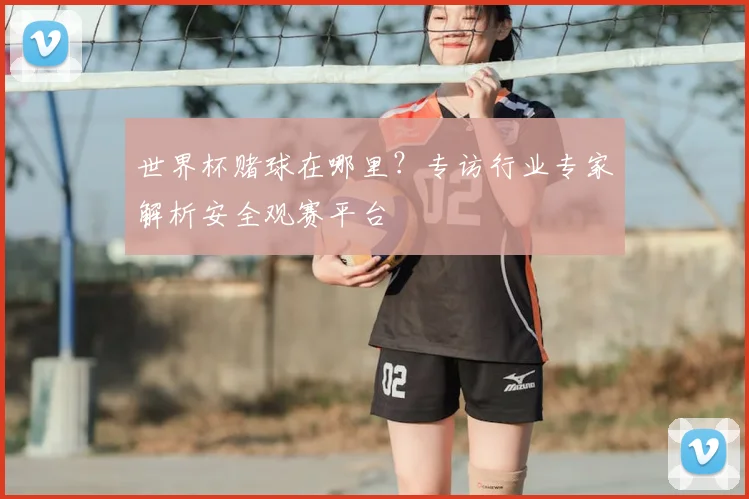世界杯赌球在哪里？专访行业专家解析安全观赛平台
