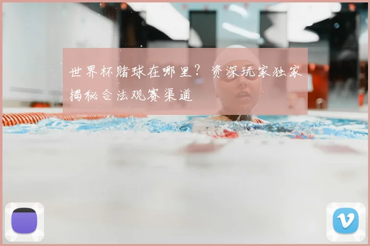 世界杯赌球在哪里？资深玩家独家揭秘合法观赛渠道