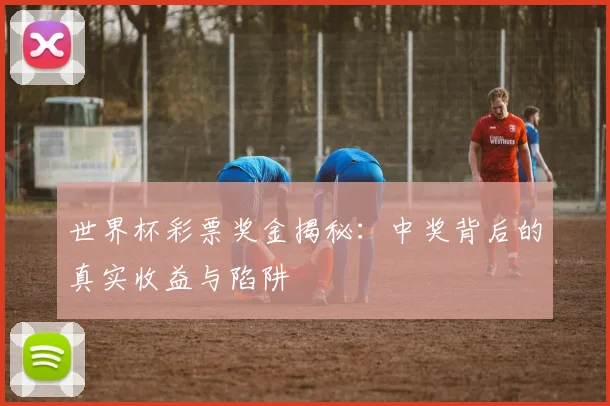 世界杯彩票奖金揭秘：中奖背后的真实收益与陷阱