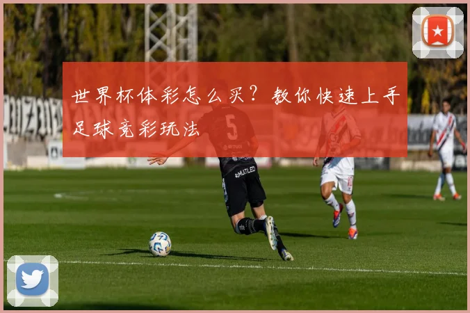 世界杯体彩怎么买?教你快速上手足球竞彩玩法