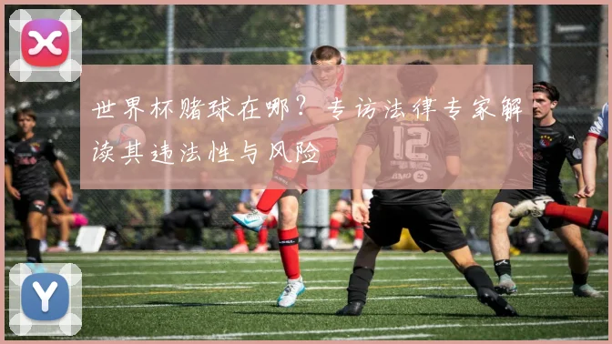 世界杯赌球在哪?专访法律专家解读其违法性与风险