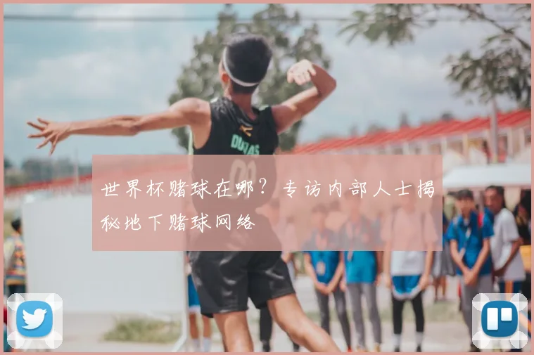 世界杯赌球在哪？专访内部人士揭秘地下赌球网络